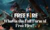 What is the Full Form of Free Fire?